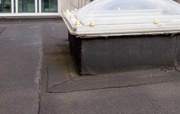 disadvantages of Baffins flat roofs