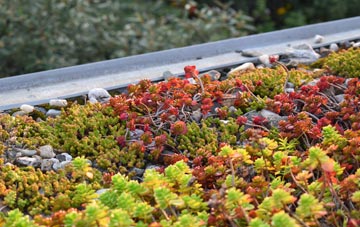 the cost of Baffins green roof installation