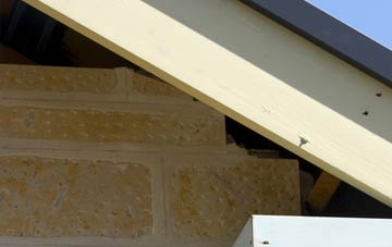 soffit repair Baffins