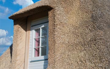 Baffins thatch roof disadvantages
